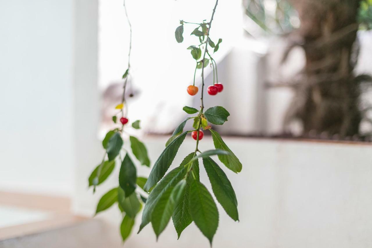 Fragrant Garden Apartment Лиссабон Экстерьер фото